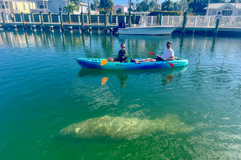 Key West: 2-hour Mangrove Kayak Tour Tandem