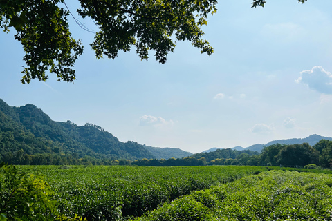 جولة خاصة شاملة كلياً في أبرز معالم مدينة شنغهايAll Inclusive Tour