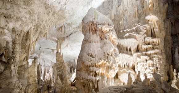 Ljubljana: Postojna-Höhle & Predjama-Burg Tickets und Tour Ljubljana: Postojna-Höhle & Predjama-Burg Tickets und Tour