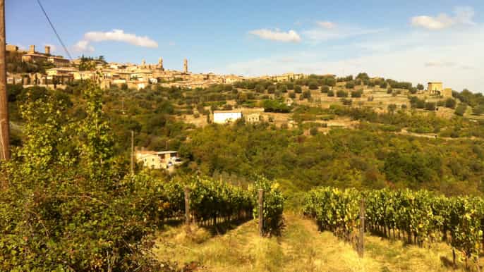 san gimignano full–day wine tour
