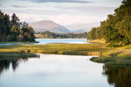 Von Inverness aus: Cairngorms National Park und Whisky Tour