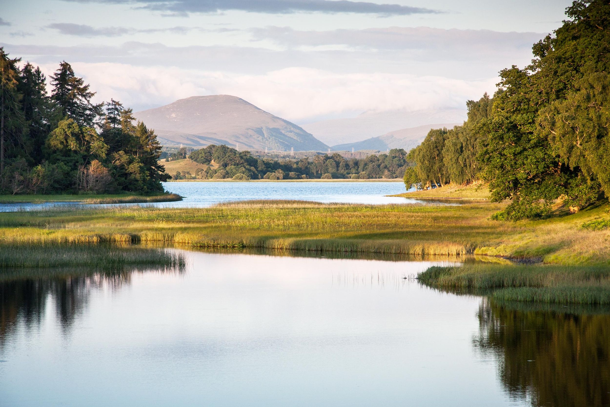 Von Inverness aus: Cairngorms National Park und Whisky Tour