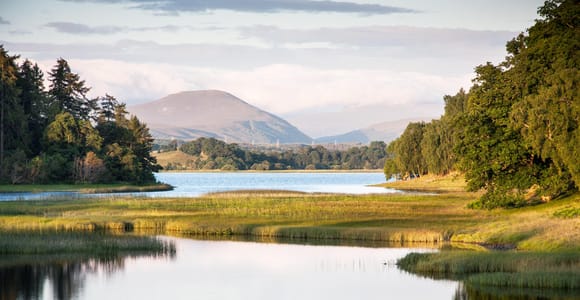 From Inverness: Cairngorms National Park and Whisky Tour