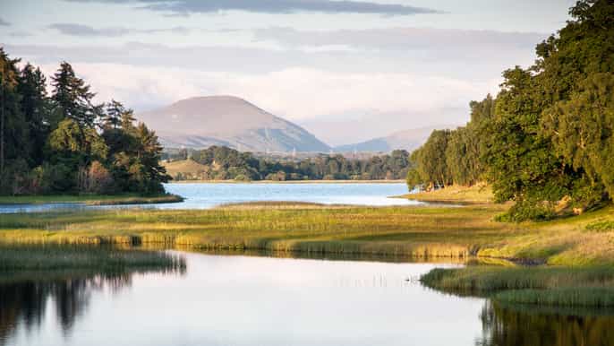 cairngorms and speyside whisky tour from inverness
