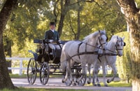 From Ljubljana, Lipica Stud Farm and Piran Full-Day Tour - Housity