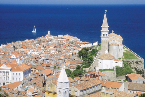 De Ljubljana: Coudelaria Lipica e excursão de 1 dia a PiranDe Ljubljana: Coudelaria de Lipica e excursão de dia inteiro a Piran