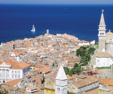 Desde Liubliana Excursión de un día completo a la Yeguada Lipica y Piran