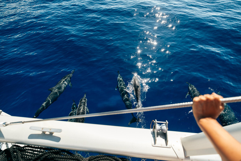 Ko Olina: Poranne nurkowanie