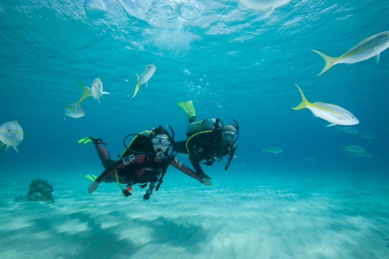 Gran Canaria: 3-dniowy kurs PADI Open Water Diver