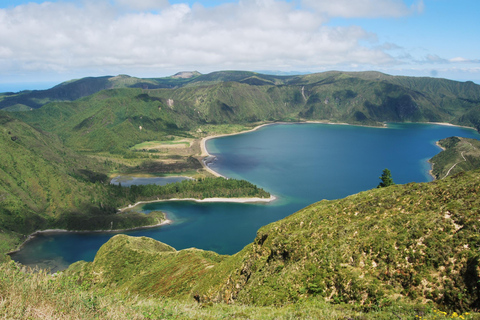 Ponta Delgada: tour de ballenas y volcanes con almuerzo