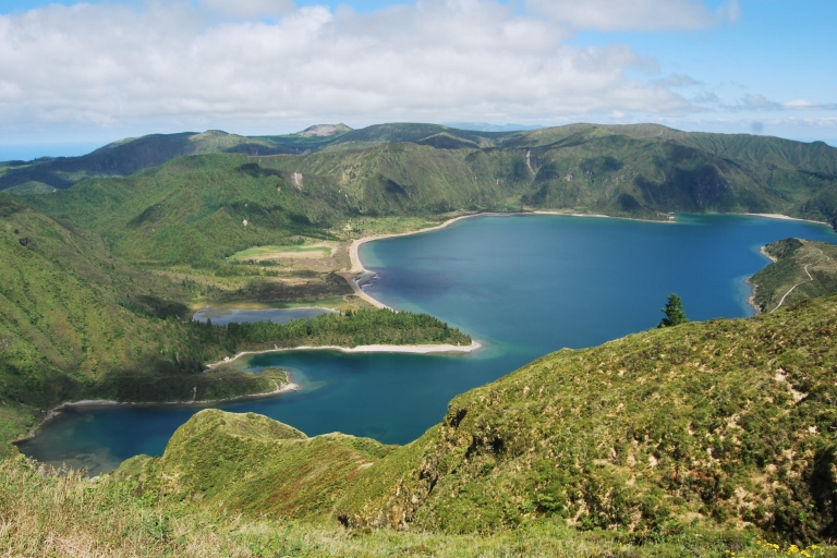 Ponta Delgada: Whales and Volcanoes Tour with Lunch