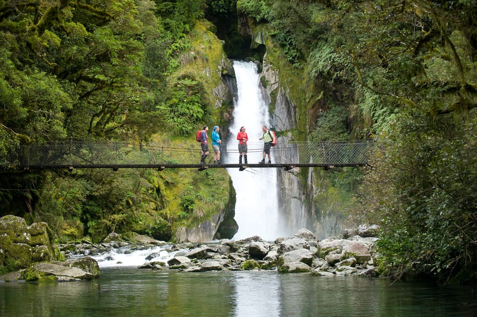 Milford sound 2024 hiking tours