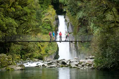 Milford Sound: Half-Day Guided Milford Track Walk