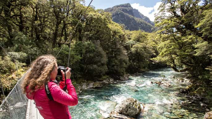 milford sound coach cruise and walk from te anau