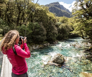 From Te Anau: Milford Sound Coach, Cruise, and Walks