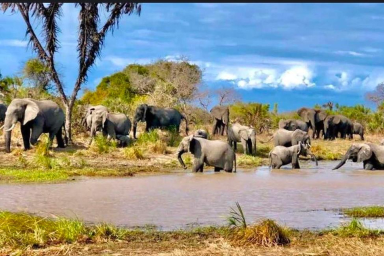 Addis Abeba: wycieczka do kościoła Chebera Churchura i Parku Narodowego MazeAddis Abeba: Wycieczka do kościoła Chebera Churchura i Parku Narodowego Maze