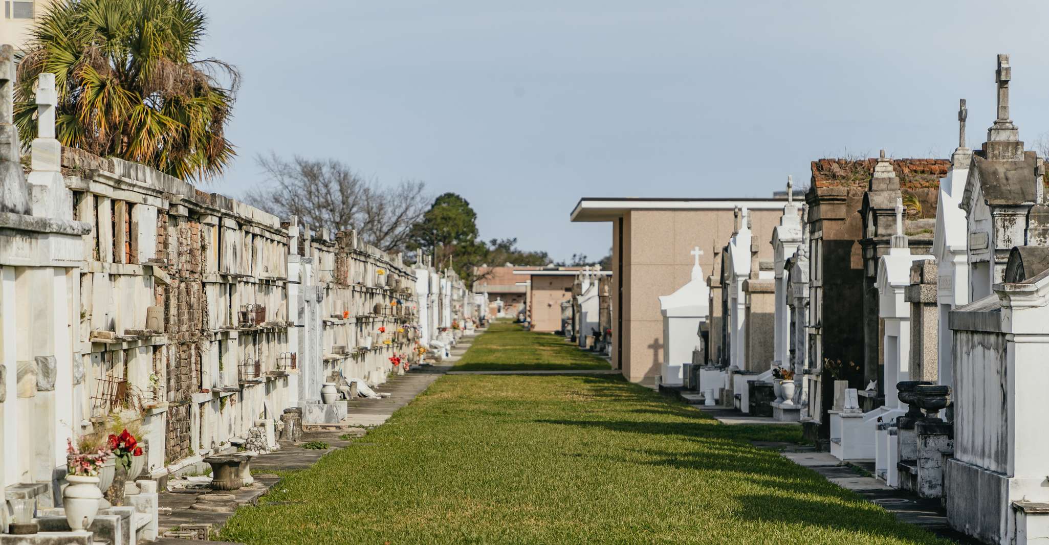 New Orleans, Guided City Sightseeing Tour by Bus - Housity