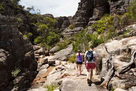 Da Melbourne: Tour di gruppo del Parco Nazionale dei Grampians