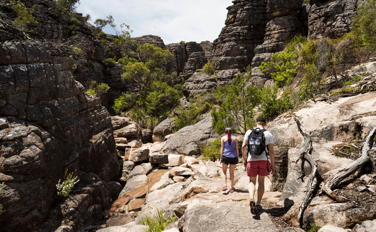 Grampians-Nationalpark: Öko-Tagestour in kleiner Gruppe