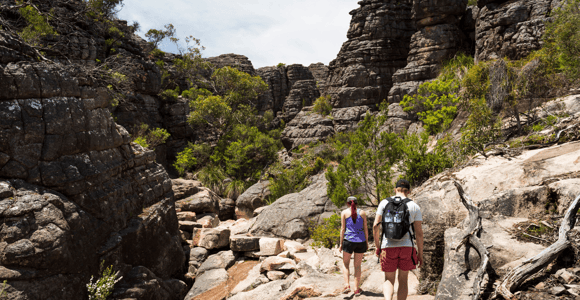 Layered sandstone ridges and forest seen from a high Grampians lookout