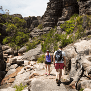 Grampians National Park Small-Group Eco Day Tour
