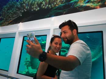 From Marmaris: Day Trip by Glass Bottom Semi Submarine
