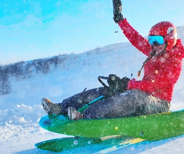 Dagali: 2-Hour Racing Toboggan Adventure