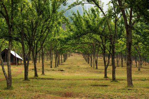 Kathmandu: Chitlang Wine Tasting Tour with Lunch & Guide