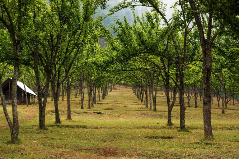 Kathmandu: Chitlang Wine Tasting Tour with Lunch & Guide