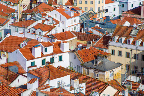 Lisbon: Layover Tour with pickup and dropoff up to you