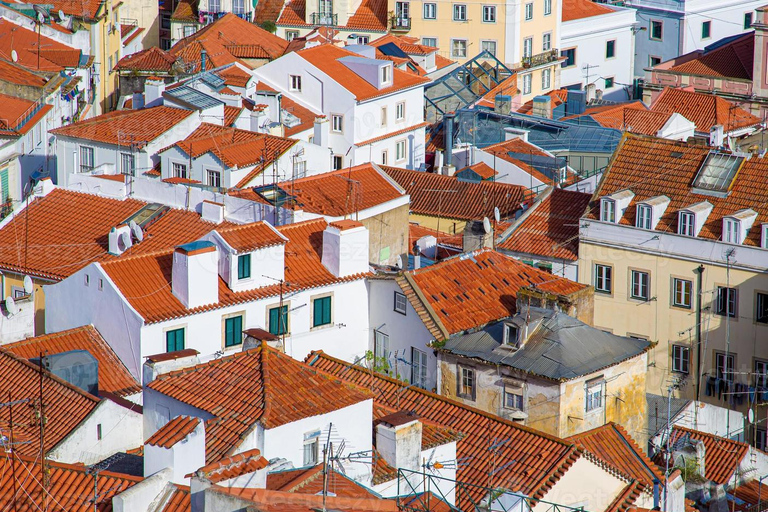 Lisbon: Layover Tour with pickup and dropoff up to you