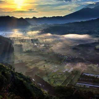 Bali: Best Sunrise Spots & Ubud Monkey Forest Private Tour