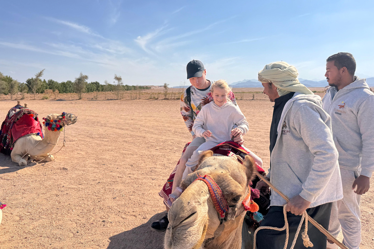 Hurghada: Camel Ride & horse ride and Off-Road Jeep Tour pickup from hotels inside hurghada