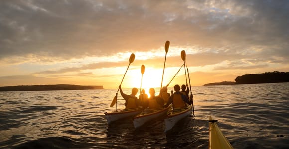 Sydney: Sunrise Escape – Middle Harbour Kayaking Experience