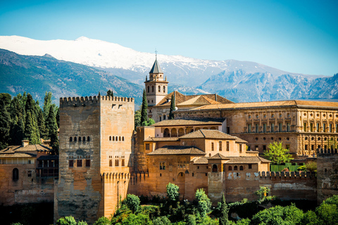 Granada: Excursão particular a Alhambra, Nasrid e GeneralifeGranada: Excursão Particular à Alhambra, Palácios Nasridas e Generalife