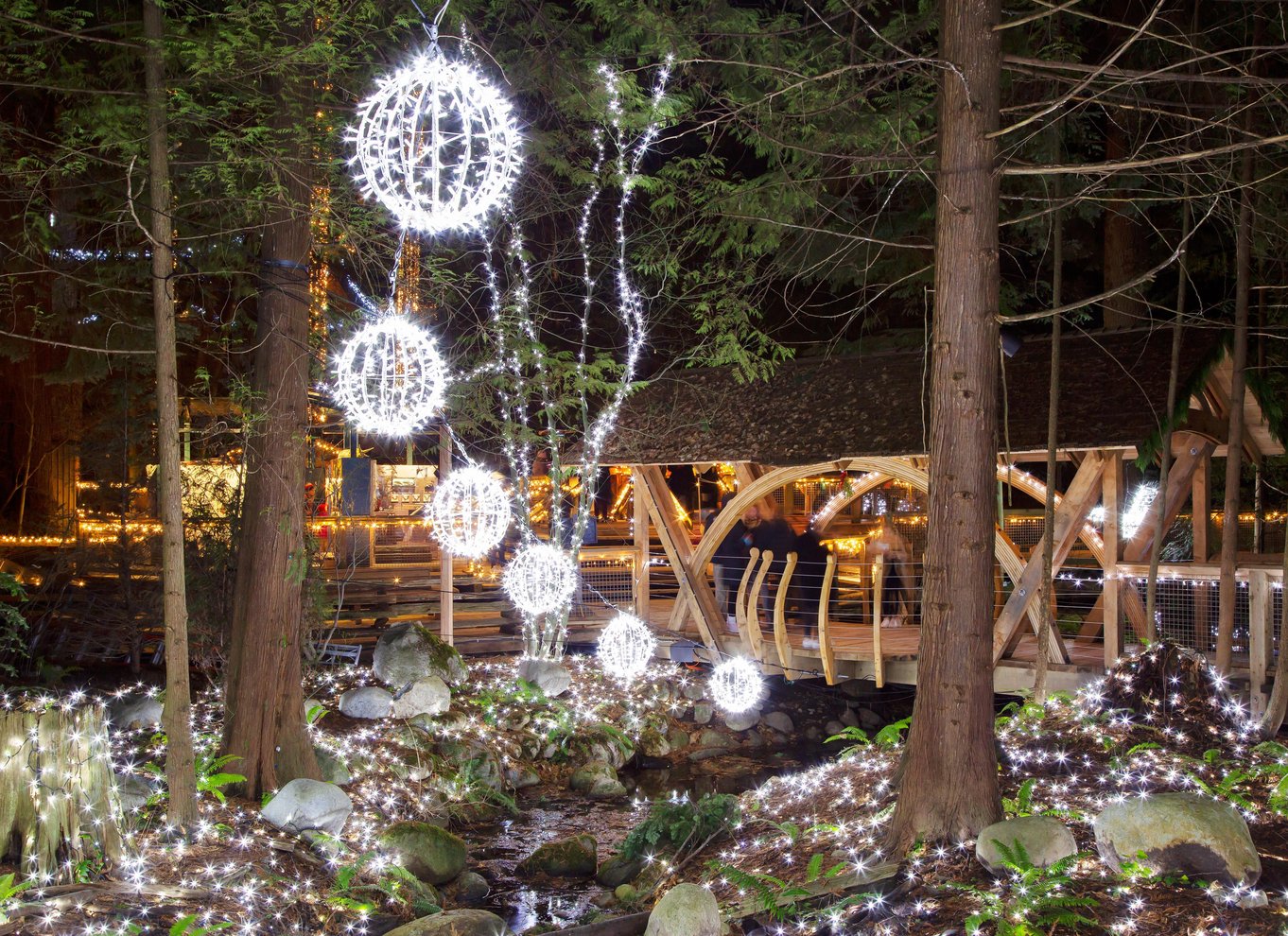 Vancouver: Capilano Suspension Bridge Park billet