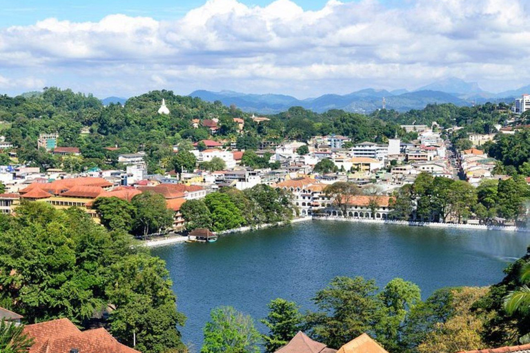 The Best of Kandy by Tuk-Tuk