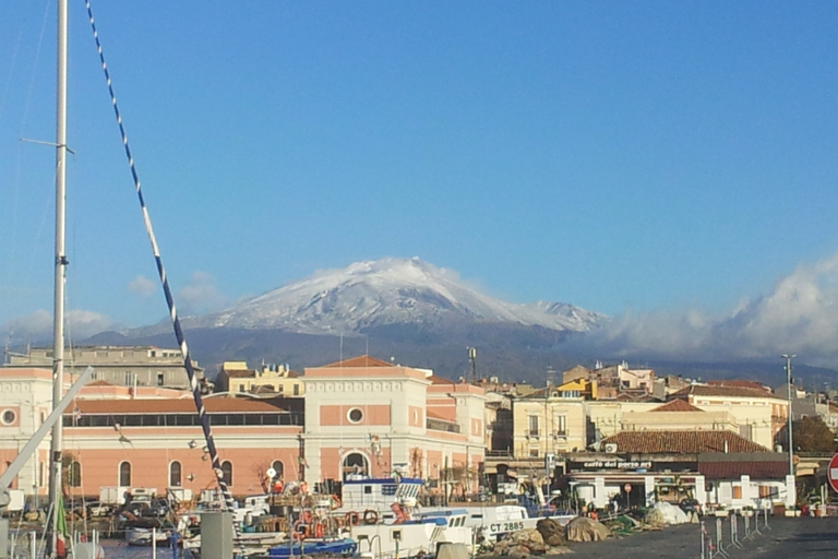 Etna en Taormina: combinatietour voor hele dag