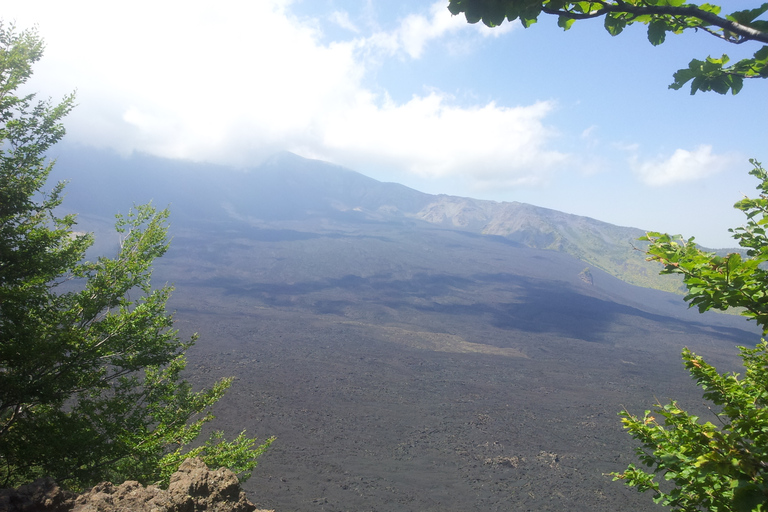 Från Catania: Kombinerad heldagstur till Etna och Taormina