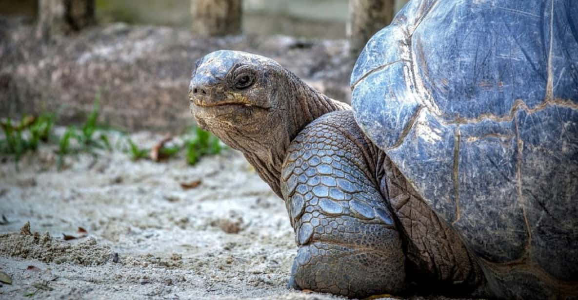 Mauritius: Ile aux Aigrettes Nature Reserve with Boat Ride | GetYourGuide