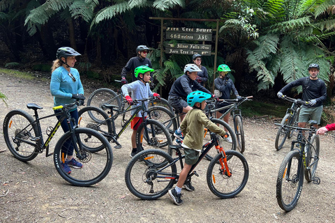 Von Hobart aus: Mt Wellington Summit &amp; Rainforest Bike Tour