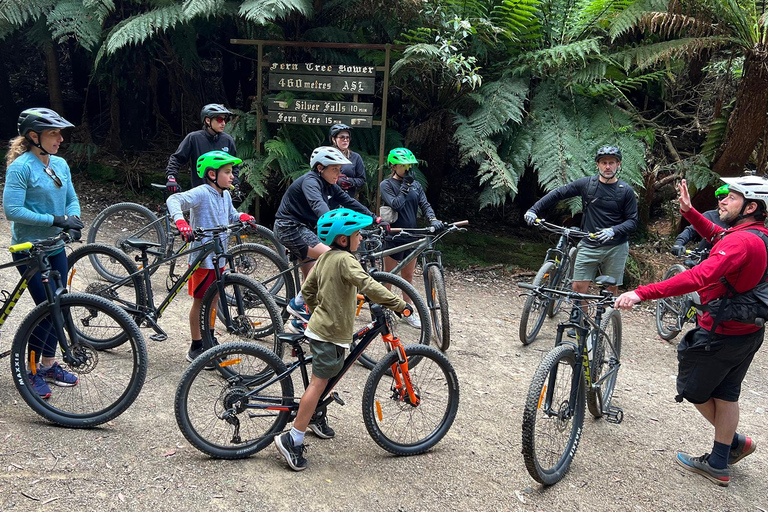 Depuis Hobart : Sommet du Mont Wellington et excursion à vélo dans la forêt tropicale