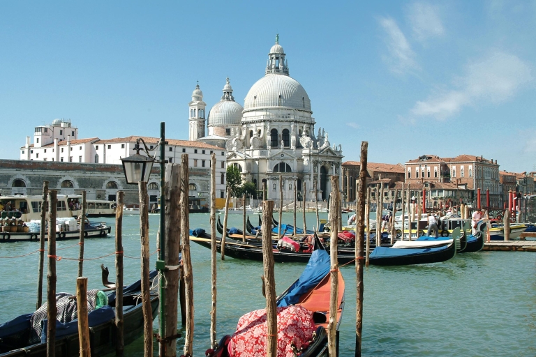 Desde Porec: Travesía en Catamarán por Venecia de ida o de ida y vueltaIda y Vuelta: Billete de ida y vuelta en barco Porec - Venecia - Porec