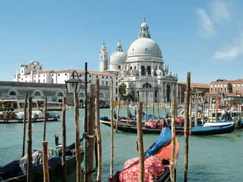 From Porec: Venice Catamaran Crossing One-Way or Round-Trip