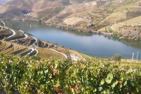 Ab Porto: Private Douro-Tal Tour mit Weinprobe & Bootsfahrt