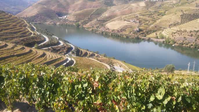valle del douro degustazione di vini privati pranzo e crociera sul fiume