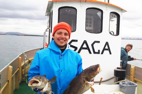 From Reykjavik: Sea Fishing Gourmet Tour