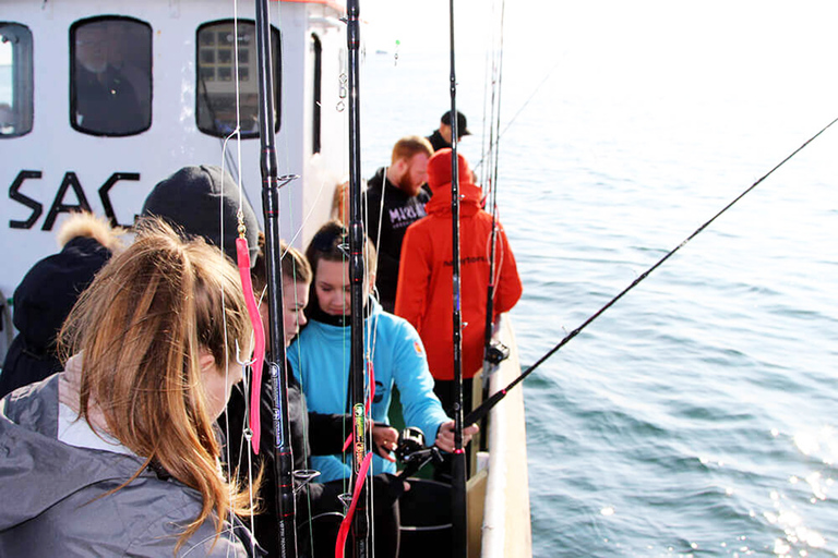 From Reykjavik: Sea Fishing Gourmet Tour