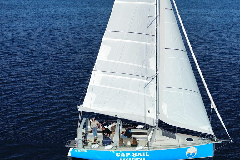 Antibes : Discover the Art of Sailing on a Scenic Cruise