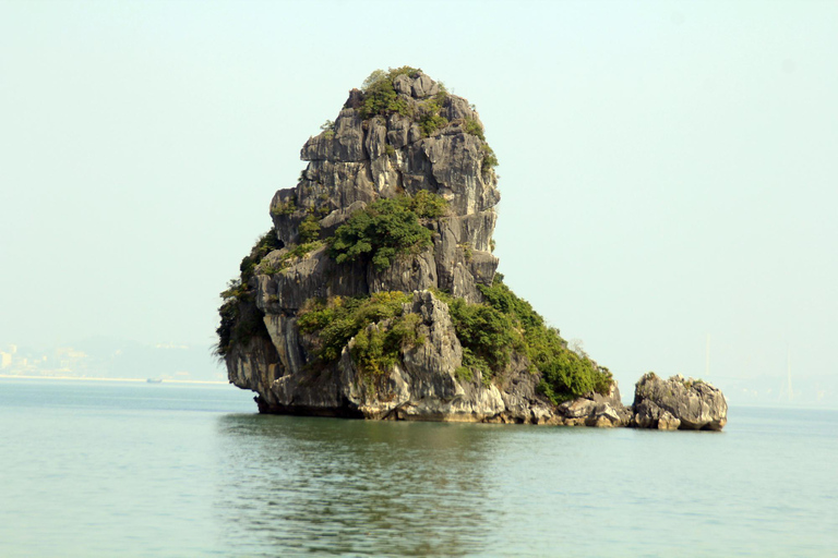 Meilleures ventes : Excursion d'une journée en croisière de luxe dans la baie d'Halong au départ de Hanoi